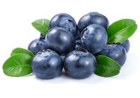 Blueberry Antioxidant extract